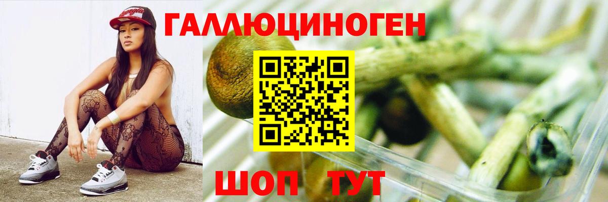 Галлюциногенные грибы Magic Shrooms Ухта